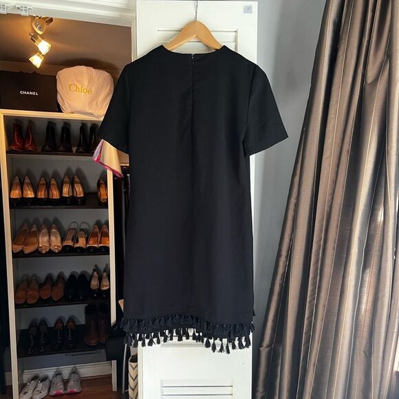 Zara Pom Pom Tassel Mini Dress - Picture 6 of 8